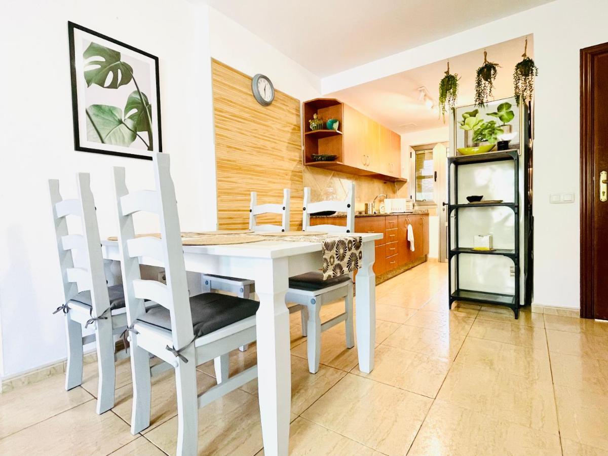 Rooftop Pool Apartment קורלחו מראה חיצוני תמונה